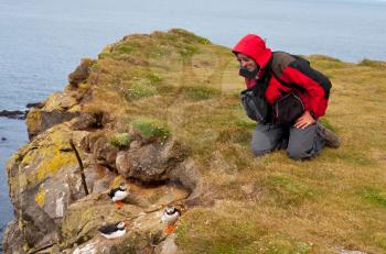 Royalty Free Photo of a Tourist Watching Puffins