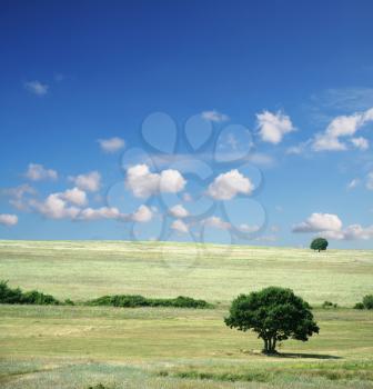 Royalty Free Photo of a Summer field - Landscape green grass, blue sky and white clouds