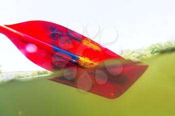 Red paddle for  rafting and kayaking
