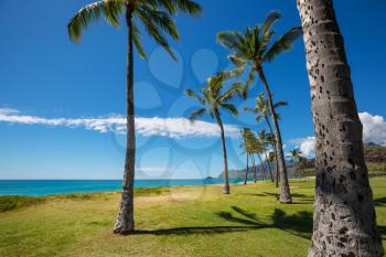 Amazing hawaiian beach