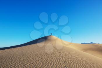 Hike in sand desert