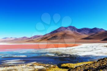 The surreal landscape in South America. Colorful Laguna Colorada  on the plateau Altiplano in Bolivia.