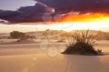 Scenic sand dunes in desert. Instagram filter.