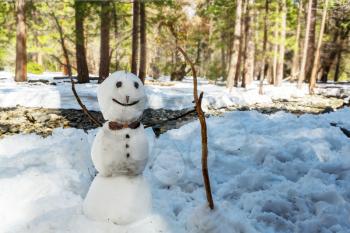 Snowman in early spring forest