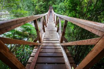bridge in green jungle, Chile