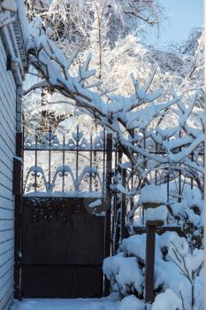 Garden gate in winter season