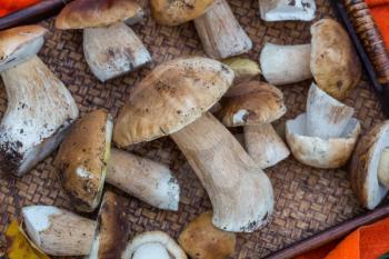 Autumnal mushrooms on wooden tray