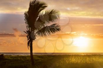 Beautiful tropical  Landscape Ocean Summer sunset Natural background