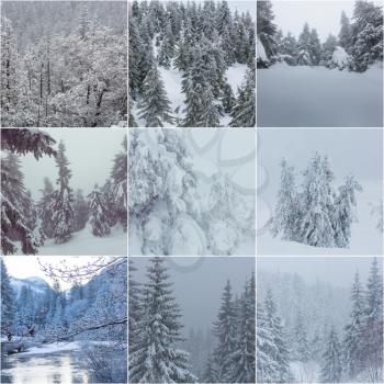 Winter landscapes christmas background collage
