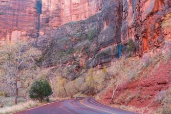 Road in Zion National Park, USA