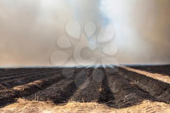 Burning flame  in an agricultural field
