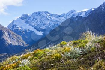 Amazing natural landscapes in New Zealand.  Beautiful Mountains .