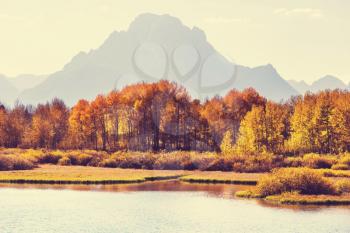  Autumn in Grand Teton with a Instagram toning effect