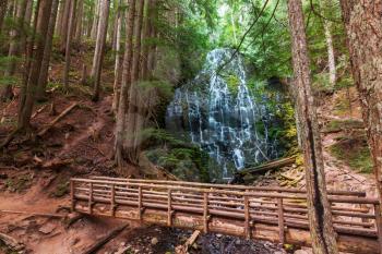 Ramona falls in Oregon,USA