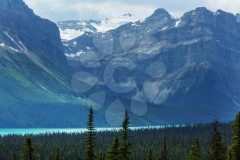 Blue lake. Canadian landscapes.