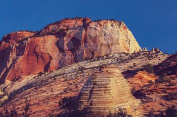 Hike in Zion National Park