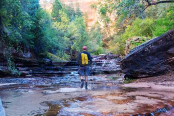 Hike in Zion National Park