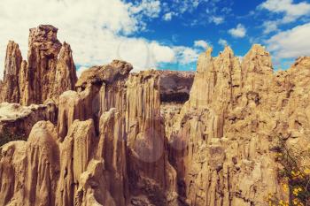 Unique geological formations cliffs shapes, cactus plant Moon Valley park, La Paz mountains, Bolivia.