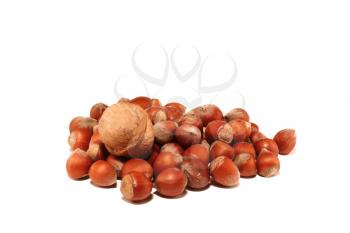 Small group of nuts on a white background