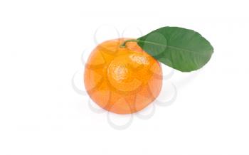 Royalty Free Photo of a Tangerine