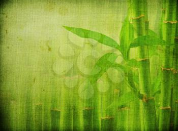 Royalty Free Photo of a Bamboo Plant Background