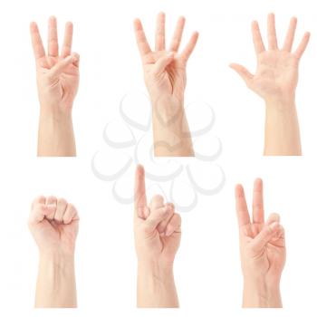 Royalty Free Photo of Hands Counting