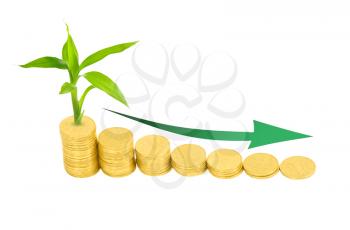Royalty Free Photo of a Plant on Gold Coins