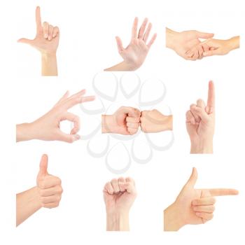 Royalty Free Photo of a Set of Gesturing Hands