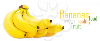 Bunch of bananas isolated on white background + Clipping Path