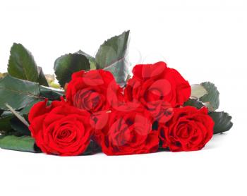 Bouquet of red roses, isolated on white