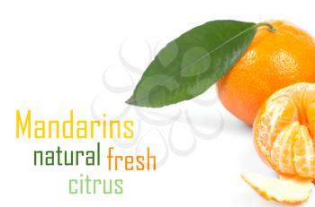 Mandarins isolated on white background