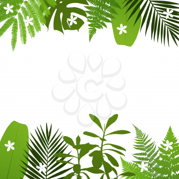 Tropical leaves background with palm,fern,monstera,acacia and banana leaves. Vector illustration