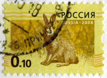 RUSSIA - CIRCA 2008: Stamp printed in RUSSIA showing hare Bunny circa 2008.