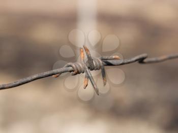 barbed wires 