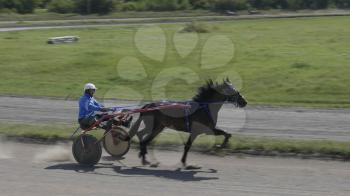 BARNAUL - AUGUST 22 Horse racing. Horse and rider on a horse race at the track on August 22, 2017 in Barnaul, Russia.