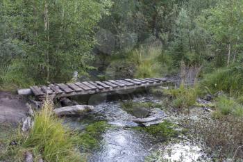 Old small bridge through a river in a forest.