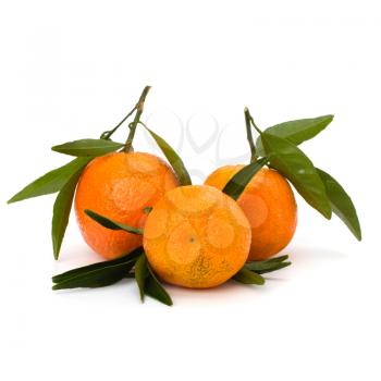 Tangerines isolated on white background