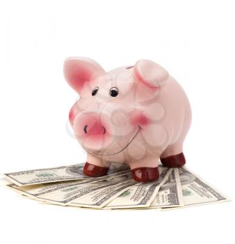 Money and piggy bank isolated on white background.