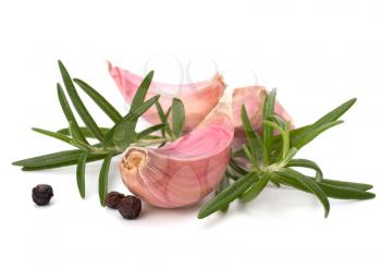 Garlic clove, basil and rosemary leaf  isolated on white background