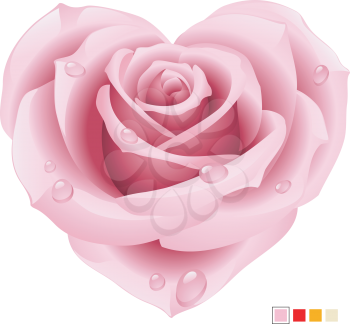Royalty Free Clipart Image of a Pink Heart Rose