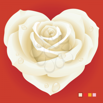 Royalty Free Clipart Image of a White Rose Heart