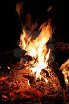 Royalty Free Photo of a Bonfire at Night