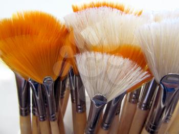 Royalty Free Photo of a Display of Brushes