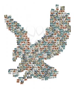 Royalty Free Photo of an Eagle Collage