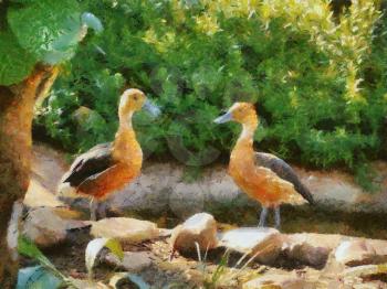 Royalty Free Photo of a Painting of Two Fulvous Whistling Ducks