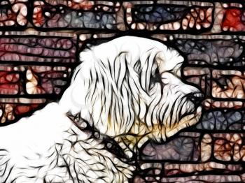 Royalty Free Photo of a Drawing of a Maltese Dog