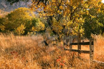 Royalty Free Photo of an Old Wooden Farm Fence