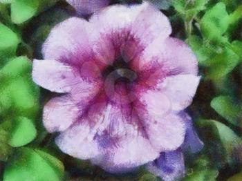 Royalty Free Photo of a Painting of a Petunia