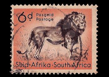 Royalty Free Photo of a Lion Stamp