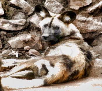 Royalty Free Photo of a Pastel Image of African Wild Dog